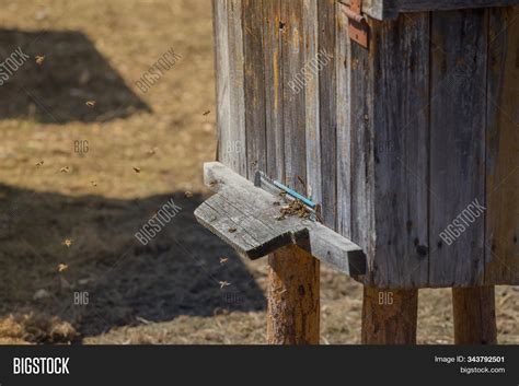 Swarm Bees Working Image & Photo (Free Trial) | Bigstock