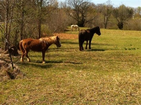 Photos of Muddy Creek Greenway - North Carolina | AllTrails