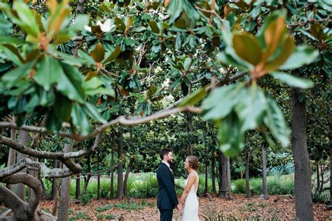 Marin Art and Garden Center Wedding // Kimberly + Dominic — Alison Yin ...