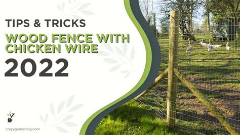 How to Attache Chicken Wire to Wood [Secure Your Coop 2024 ...