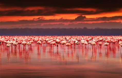 15 natural attractions in Kenya to add to your bucket list NOW | AFKTravel