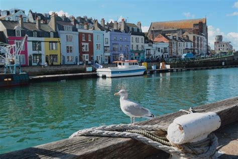 Things to do in Weymouth if you Only Have One Day (A Local's Guide)