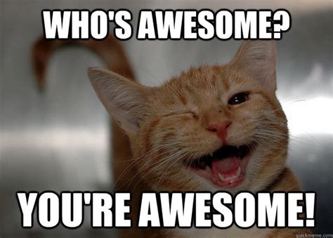 Who's awesome? You're awesome! - Cheer up Cat - quickmeme