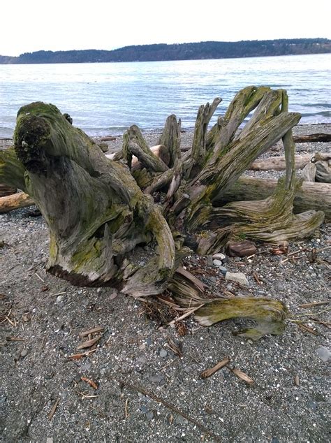 Mukilteo Beach, WA | Photos from Mukilteo Beach located in W… | Flickr