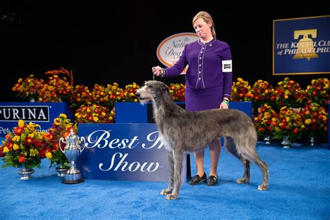 National Dog Show Winners Through the Years [PHOTOS]