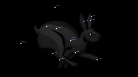 Lepus Constellation Stars – Astrology King