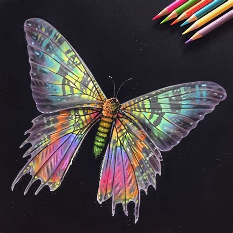 Iridescent madagascan sunset moth colored pencil drawing. | Pencil ...