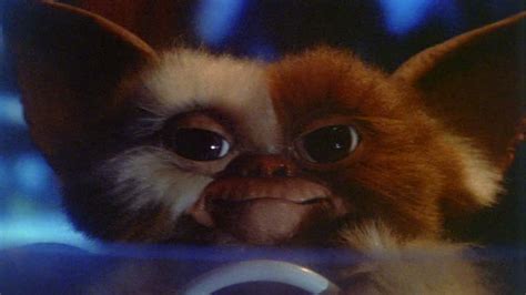 Gremlins Gizmo Wallpapers - Wallpaper Cave