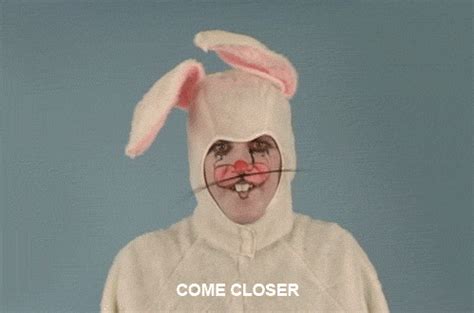 rabbit costume on Tumblr