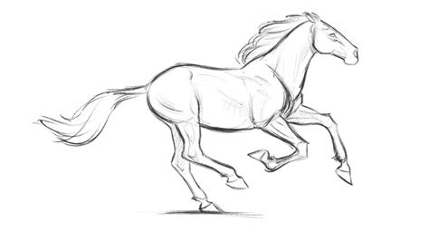 horse running loop animation by Aaron Blaise #artcourses | Horse ...