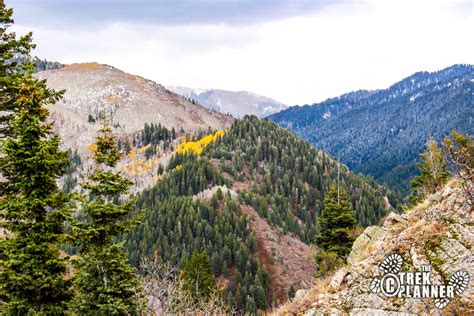 Mt. Aire Hike – Mill Creek Canyon, Utah | The Trek Planner