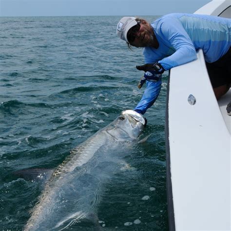 Florida Tarpon Fishing Charters2015 tarpon season Archives - Florida ...