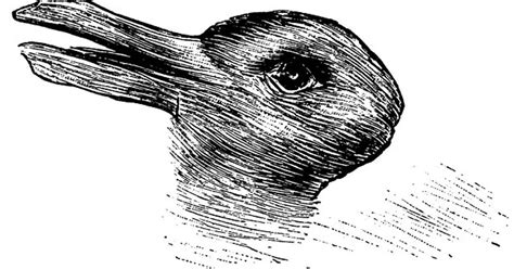 Is this a rabbit or a duck? The answer to this optical illusion reveals ...