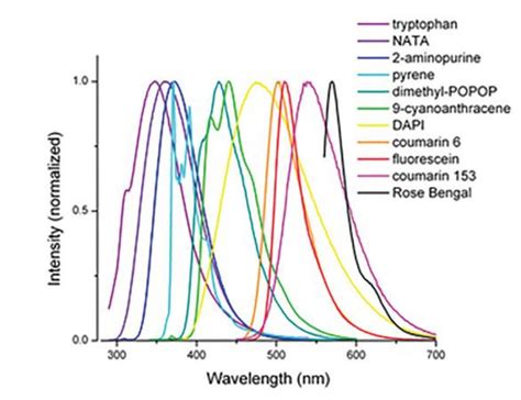 What is Fluorescence Spectroscopy?