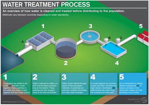 Quinnipiac University Transfer: Wastewater Treatment Process Steps