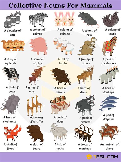 Animal Group Names: 250+ Collective Nouns for Animals • 7ESL | Learn ...