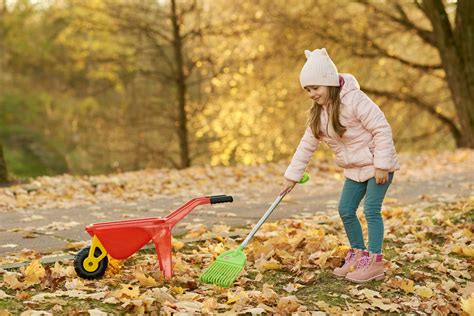 Should I Rake Up Fallen Leaves? Update: 2021 – The Turfgrass Group Inc