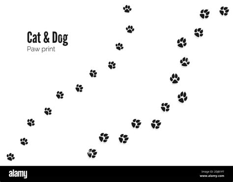 Cat and Dog Paw Print. Pets or Animals Paw Trail. Vector illustration ...