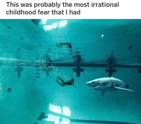 Pin by novabun 3000 on Under the Sea | Sharks funny, Funny relatable ...