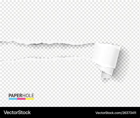 Tear off paper scroll and rip hole blank concept Vector Image