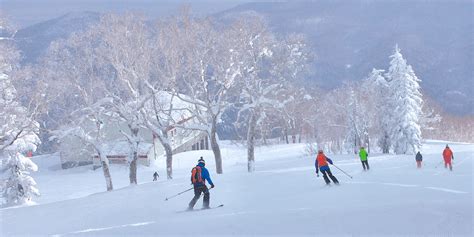 最佳北海道滑雪勝地：新雪谷、留壽都、喜樂樂、富良野和Tomamu - SNOW MONKEY RESORTS