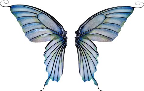 Fairies clipart wing, Fairies wing Transparent FREE for download on ...