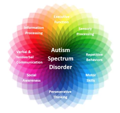 Autism Diagnosis Washington DC | Understanding Autism