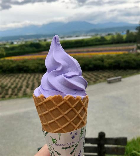 10 Most Unique Ice Cream Flavors in Japan | Japan Wonder Travel Blog