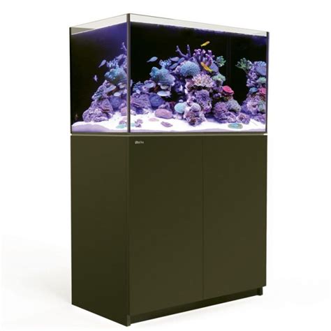 Red Sea REEFER 250 Silent Auction | CFLAS