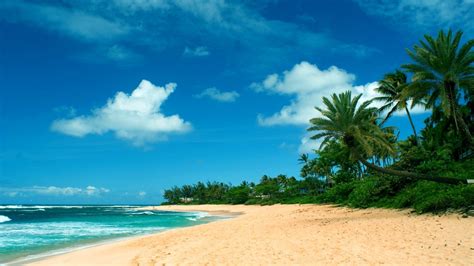 PixLith - Hawaiian Beach Background Images