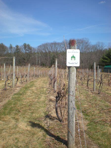 New Hampshire Wineries & Portsmouth – Kristina Gemella's Travels