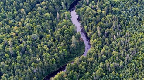 One of the Greatest Environmental Challenges of Our Time—Protecting ...