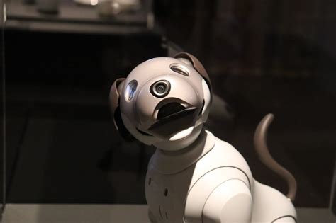 Robotic Therapy Pets: Do they treat loneliness and dementia?