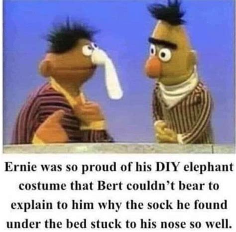 Sesame Street Bert Meme