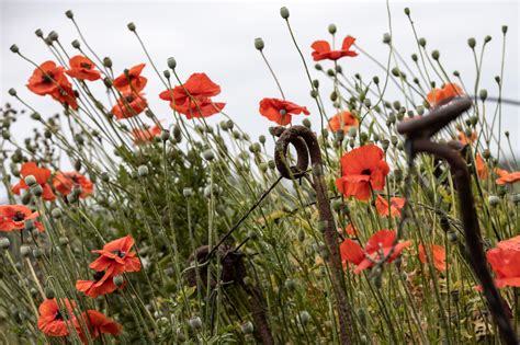 27 WWI memorial sites in Flanders Fields recognised as Unesco World ...