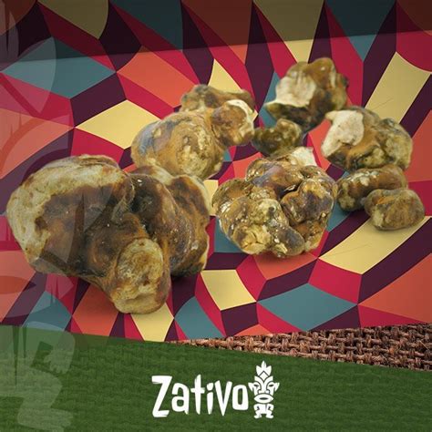 The Effects Of Magic Truffles (Psilocybin) - Zativo