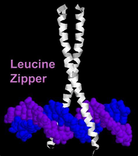 Concepts in Biochemistry - Structure Tutorials