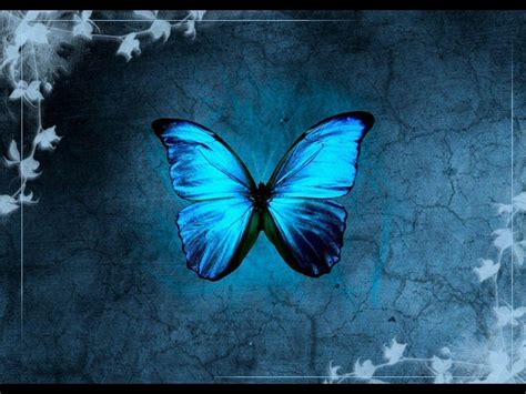 Blue Butterfly Wallpapers - Wallpaper Cave