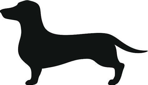 Dachshund clipart vector, Dachshund vector Transparent FREE for ...