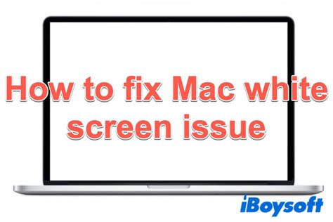 Mac Has a White Screen on Startup, How to Fix?