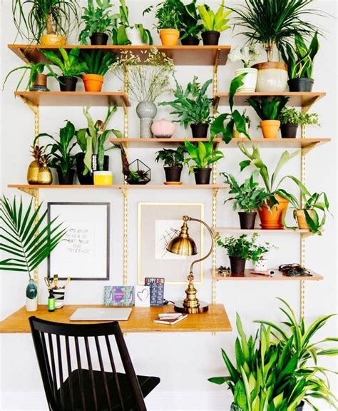 13 Indoor DIY Plant Shelf Ideas You’ll Want To Copy Now! • OhMeOhMy ...