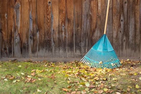 Yard Work Trimming Weed Eater Stock Image - Image of landscaping ...