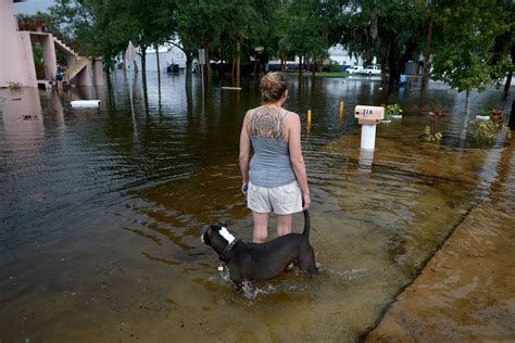 Hurricane Idalia Update as Storm Begins Path of Destruction Through ...