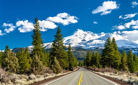 Shasta-Trinity National Forest