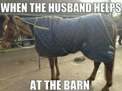 20 Hilarious Horse Memes. I don’t know about you, but one of my… | by ...