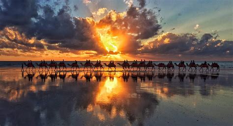 Sensational Sunset Camel Tour, Cable Beach Broome