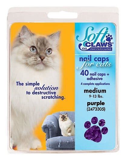 SOFT CLAWS Cat Nail Caps, 40 count, Large, Purple - Chewy.com