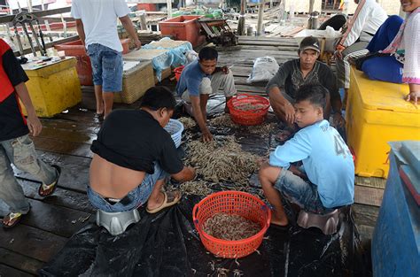 Ketika Melaut Tak Lagi Menjanjikan, Masa Depan Nelayan Tradisional ...