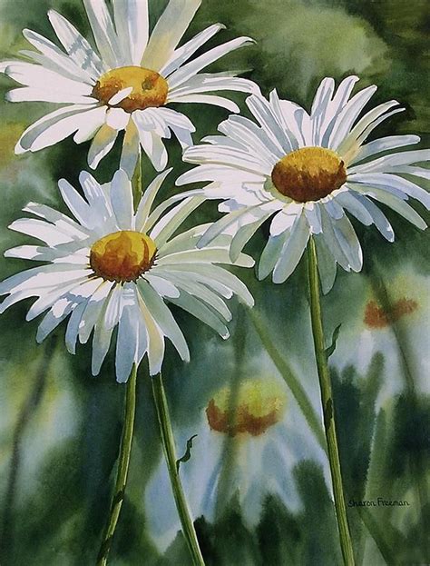 Sharon Freeman WATERCOLOR | Daisy painting, Watercolor flowers ...