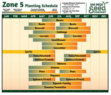 Zone 5 Vegetable Planting Chart